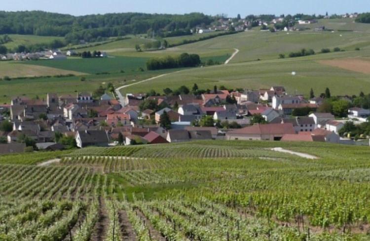 Apartament La Longere De Vin'Ay Vinay  Zewnętrze zdjęcie