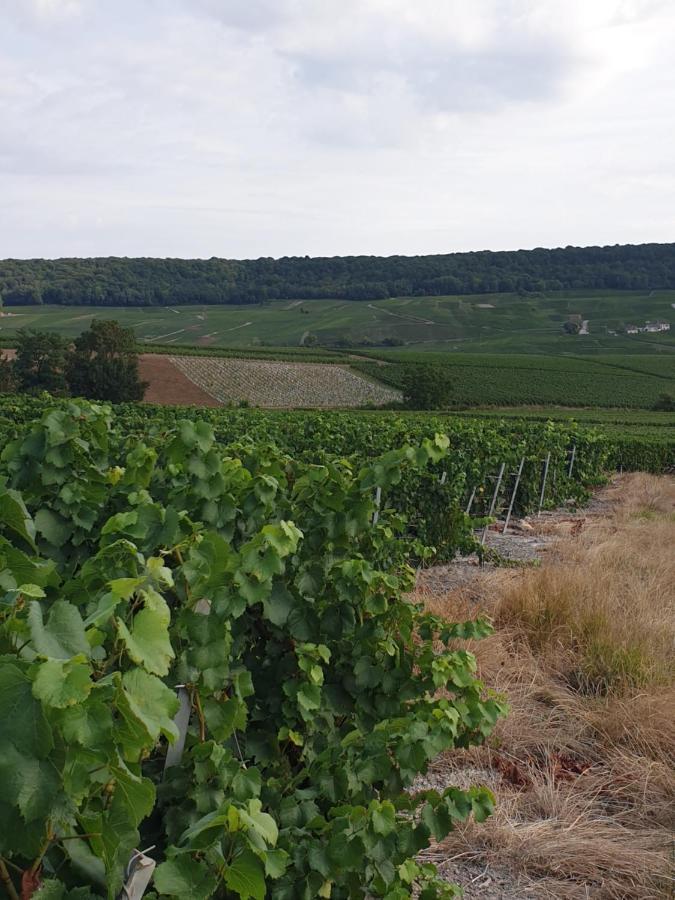 Apartament La Longere De Vin'Ay Vinay  Zewnętrze zdjęcie